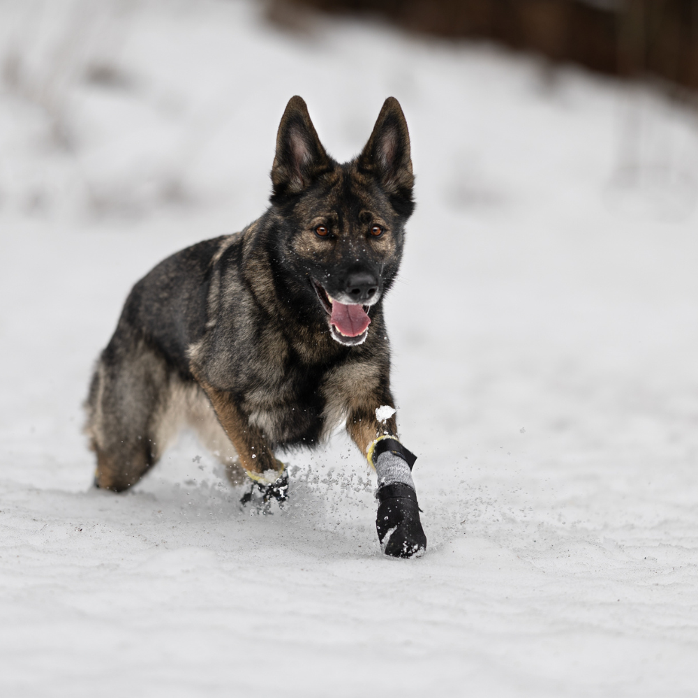 Potesokker VIP MAX Protect høy 4-pk - Bilde 3