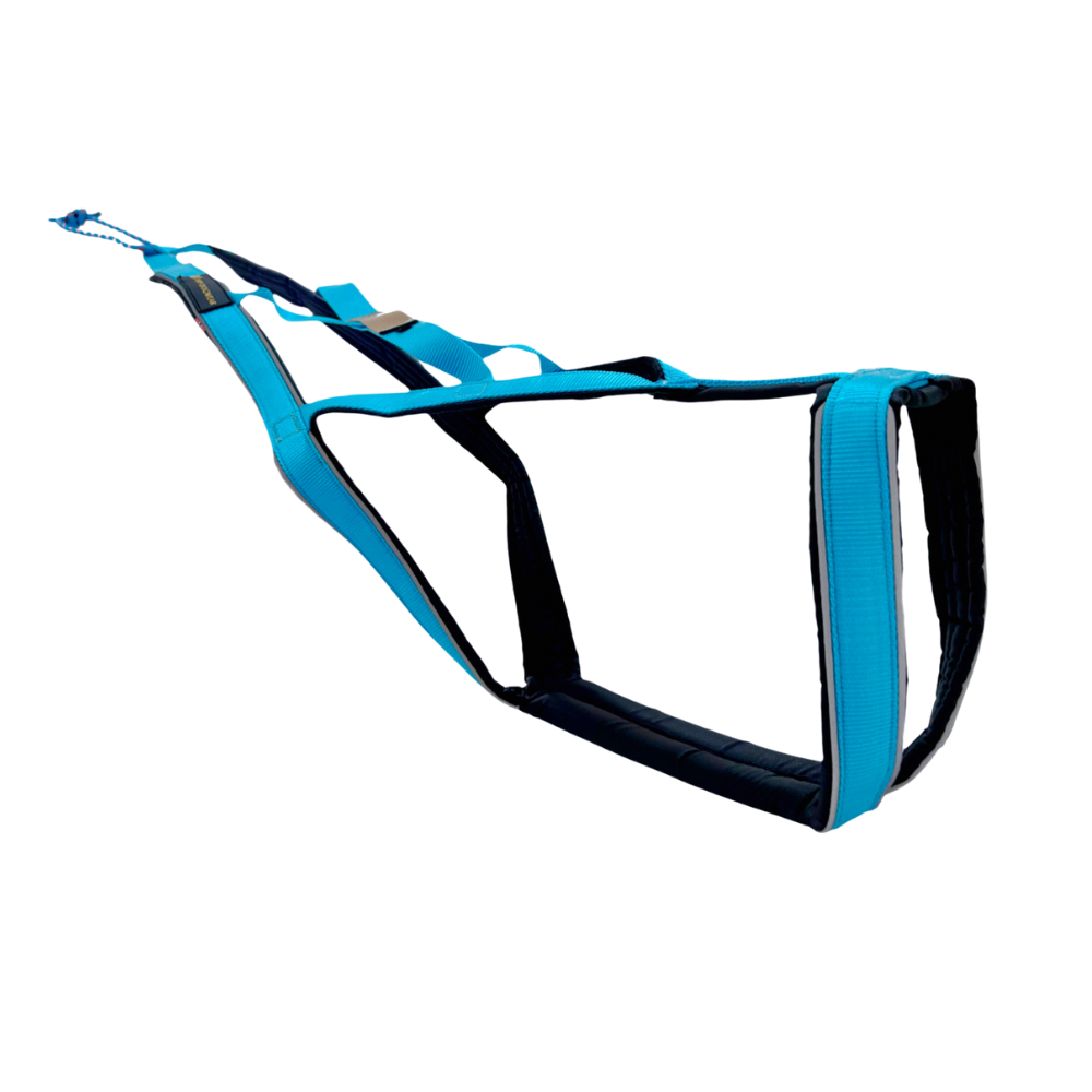 V.I.P. R-harness Turquoise