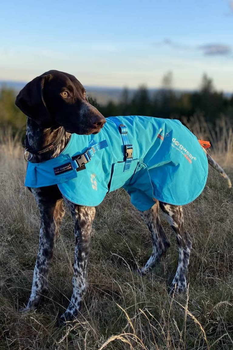 V.I.P. FAST TRACK cover turquoise