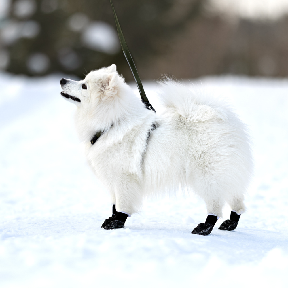 Potesokker VIP UNIVERSAL 4-pk - Bilde 3