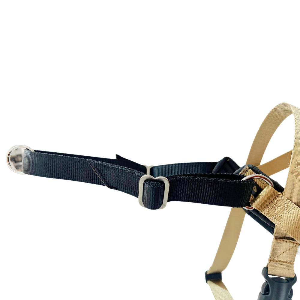 VIP Multisport Harness (Signature Gold) - Image 5