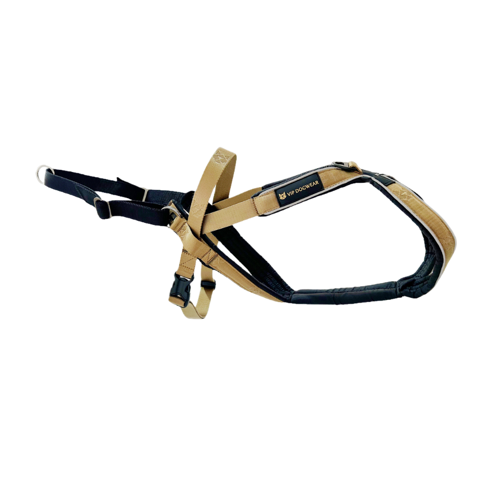 VIP Multisport Harness (Signature Gold)
