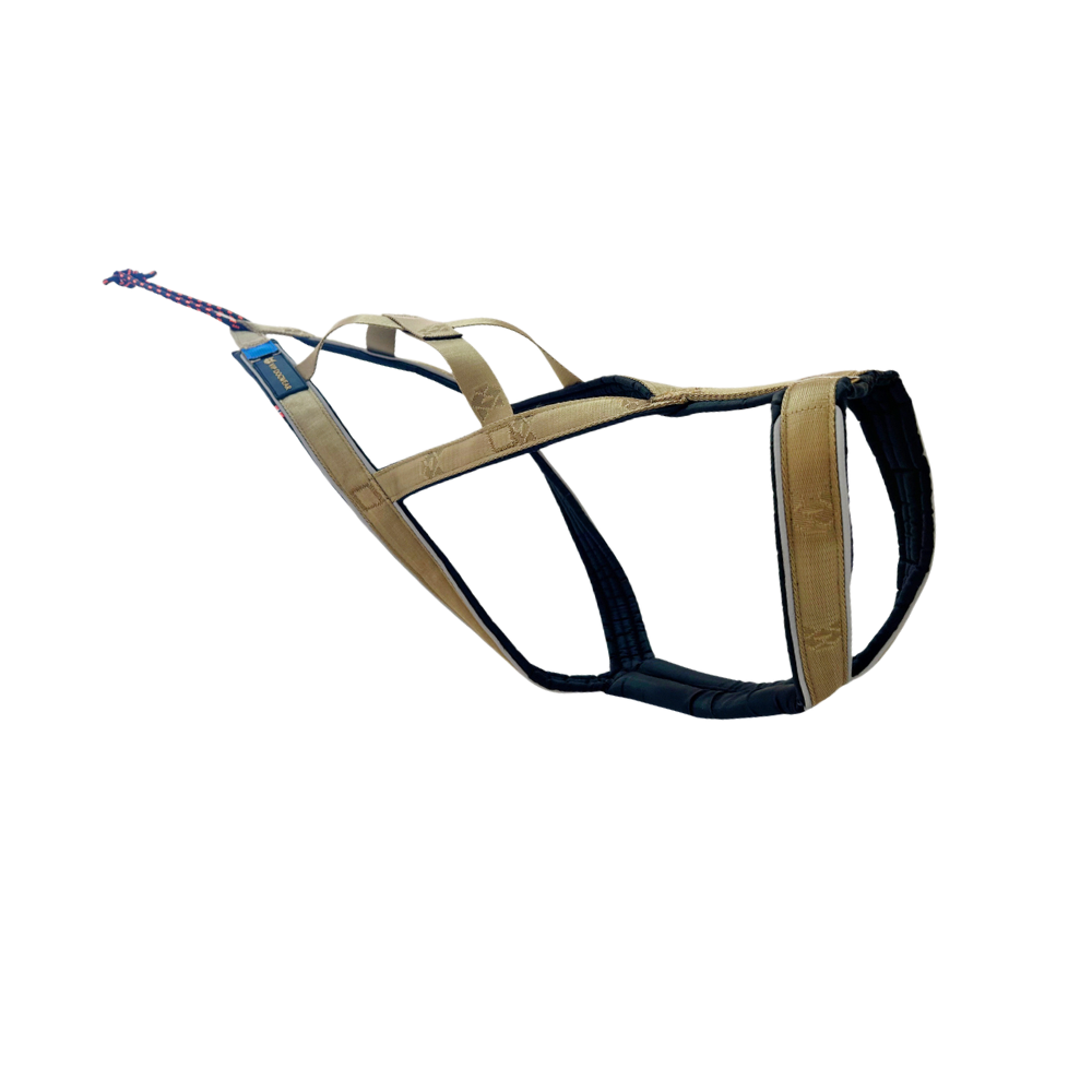 VIP R-Harness (Signature Gold)