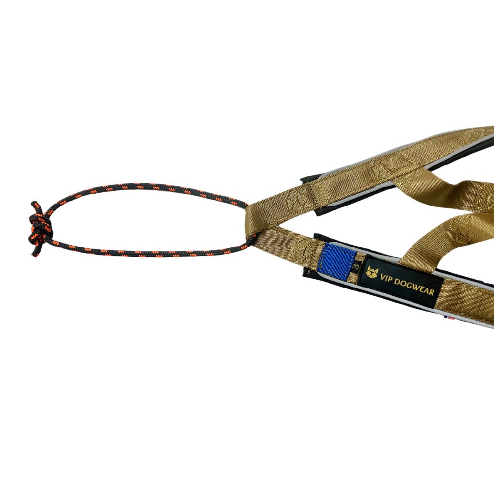 VIP R-Harness (Signature Gold) - Image 3