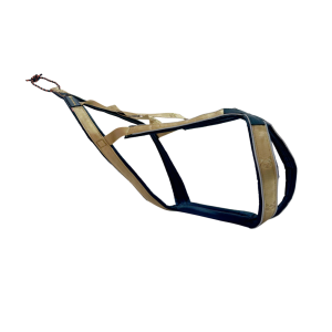 VIP X-Sele (Signature Gold)