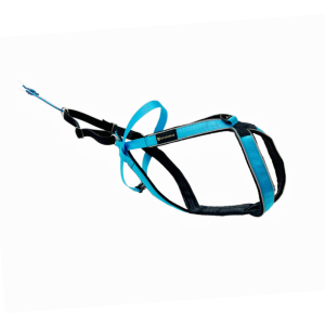 VIP Multisport Sele Turkis 2.0 (lang utgave)