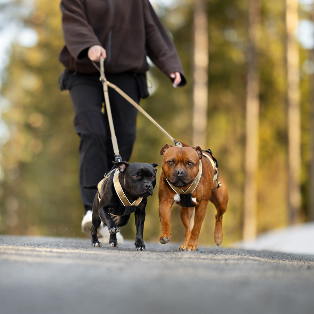VIP Walker Duo leiebånd 1m - Bilde 3