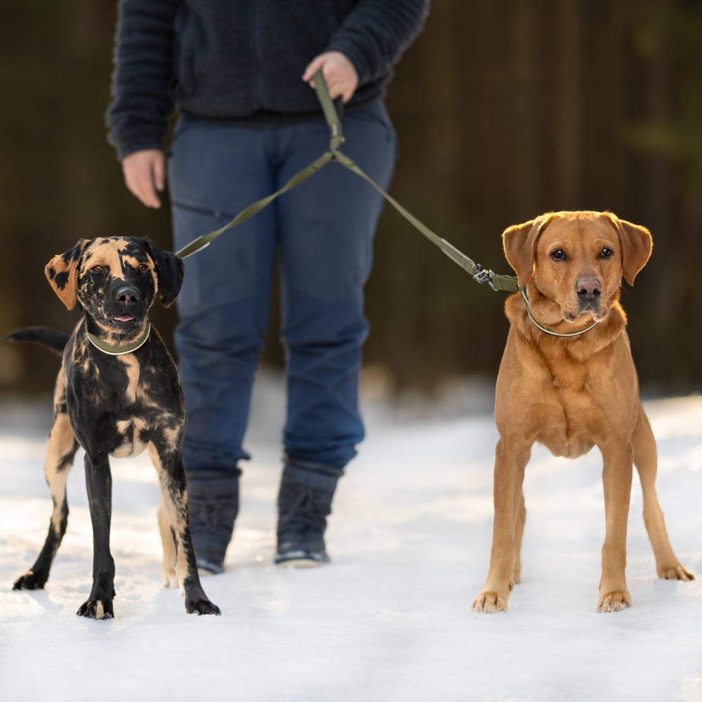 VIP Walker Duo leiebånd 1m - Bilde 2