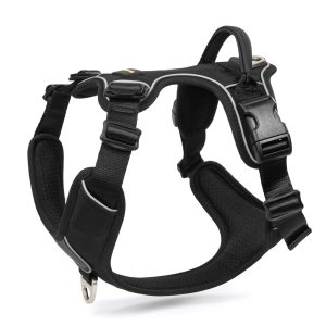 VIP Walker City Harness